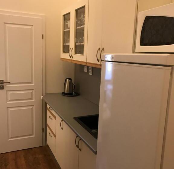 １ベッドルームのデラックスアパートメント, Centercity Apartments