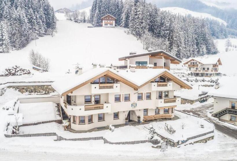 Апартаменты Superior 1 Спальня, Xl Appartements Steinhaus