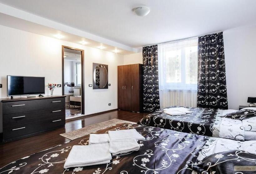 اتاق استاندارد با تخت بزرگ, Sweet Home Bucovina Frasin Petreceri Private Si Majorate