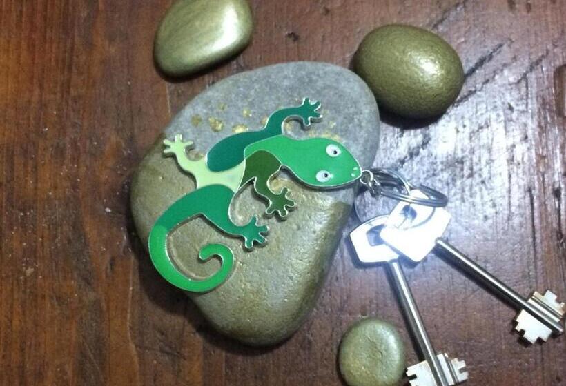 套房, Il Geco