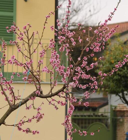 带2个卧室的公寓, La Cuccagna Di Don Bosco   No Landlords And Neighbours   Absolute Privacy!