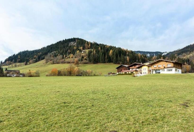 Апартаменты 1 Спальня, Landhotel Hinteraigengut