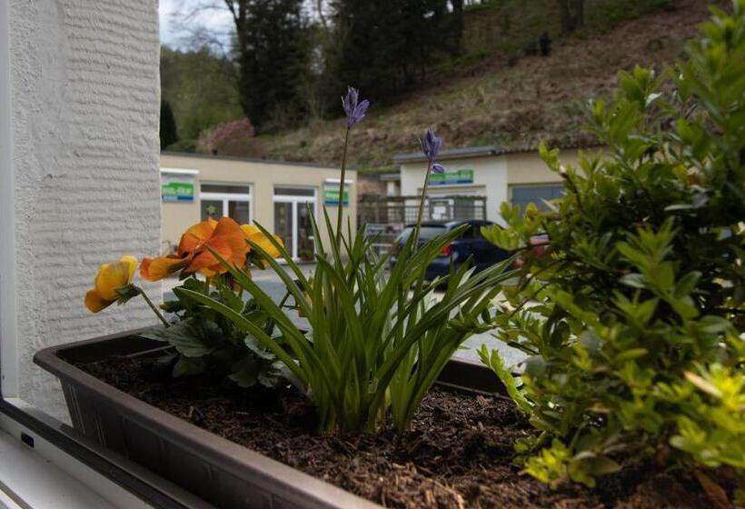 Апартаменты 1 Спальня, Pension Hönel Hof Bad Schandau