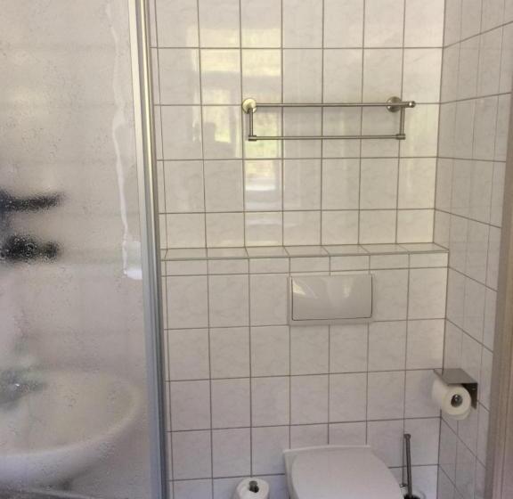 Апартаменты 1 Спальня с Балконом, Pension Hönel Hof Bad Schandau