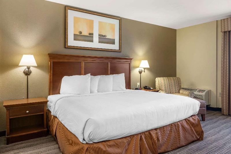 스탠다드 룸 킹사이즈 침대, Country Inn & Suites By Radisson, Atlanta Downtown