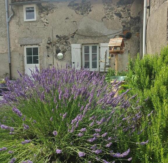 Дом 1 Спальня, Wisteria House