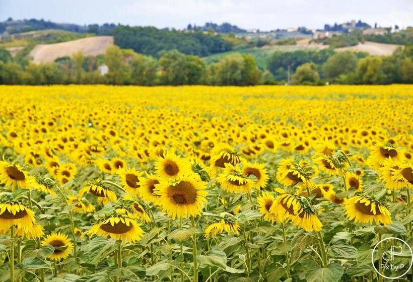 آپارتمان 1 خوابه با چشم‌انداز باغ, Agriturismo Tre Madonne