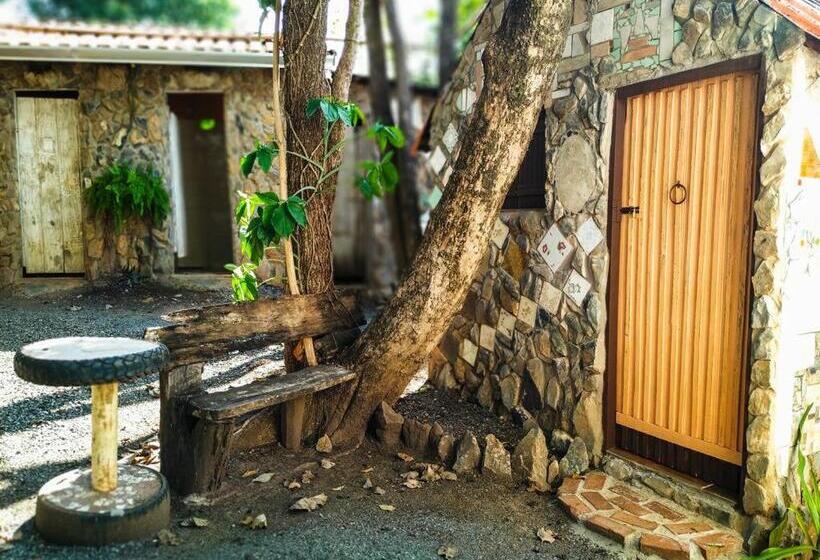이코노미 룸, Camping Nomadas