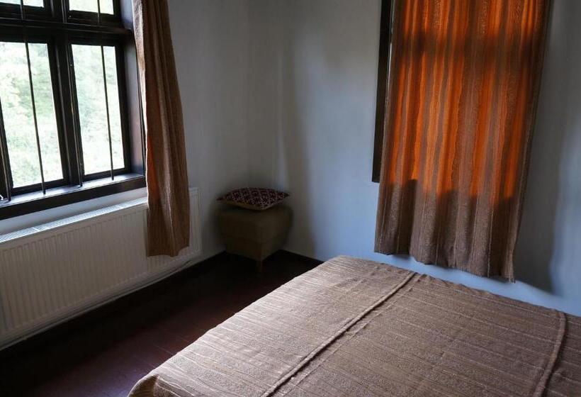 Дом 1 Спальня, Guest House Pepeliana