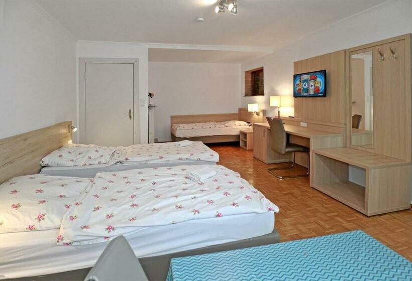 Апартаменты 3 Спальни, Pension Im Heidort