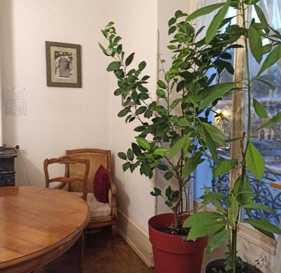 Апартаменты 2 Спальни, Chateau View Chambres D Hôtes