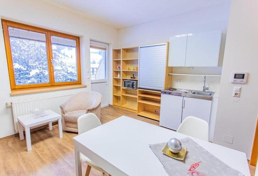 استودیو استاندارد با تراس, Landhaus Tritscher