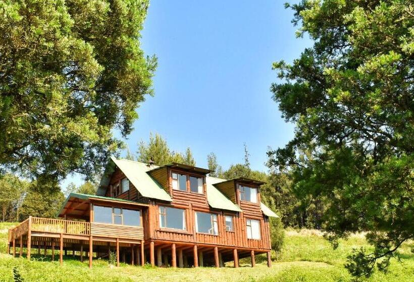Хижина, Stanford Lake Lodge