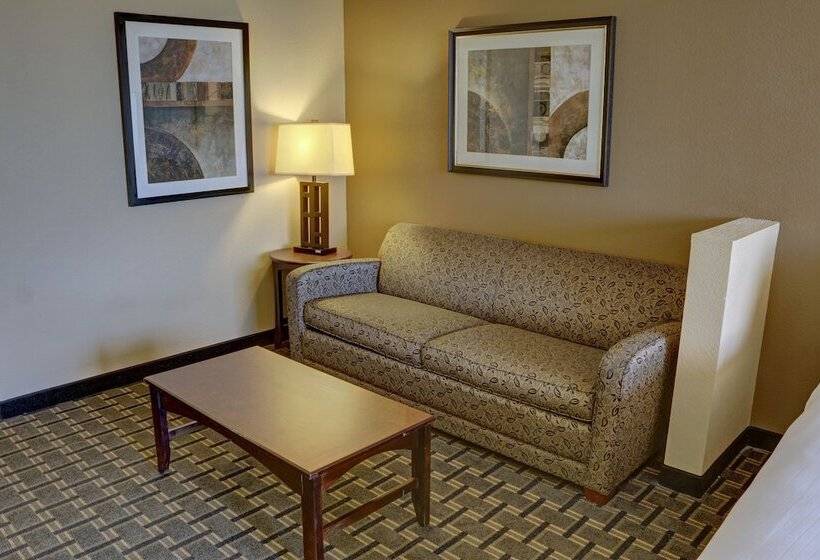 Люкс, Holiday Inn Express Hotel & Suites Texarkana East, An Ihg