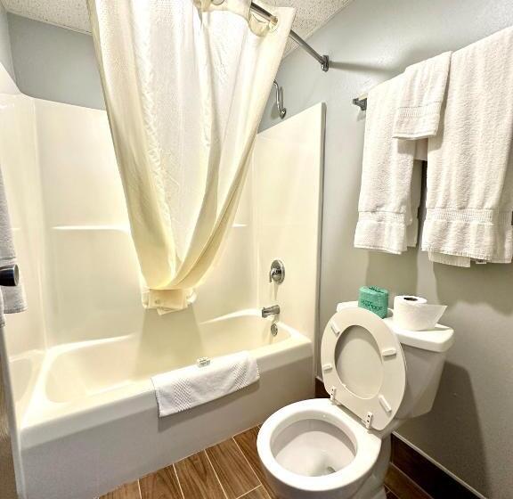 带大床的标准间, Americinn & Suites By Wyndham Baraboo Event Center