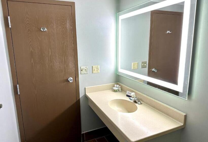 带大床的套房, Americinn & Suites By Wyndham Baraboo Event Center