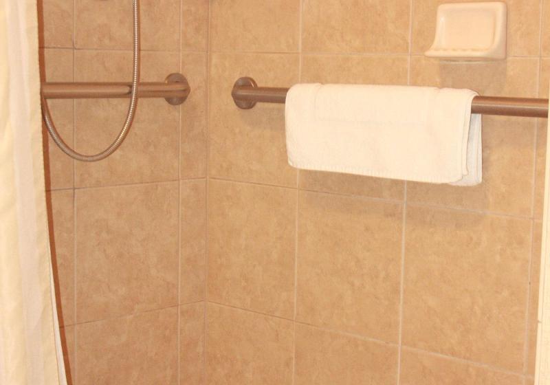 스탠다드 룸 킹사이즈 침대, Hilton Garden Inn Clovis