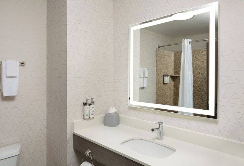 Люкс, Holiday Inn Express Hotel & Suites Cherry Hills, An Ihg