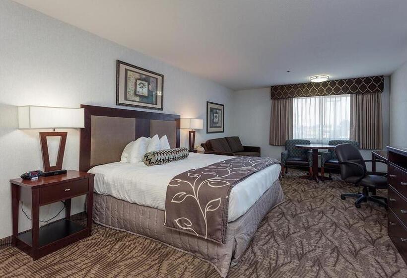 Стандартный Номер Кровать Кинг, Shilo Inns Idaho Falls