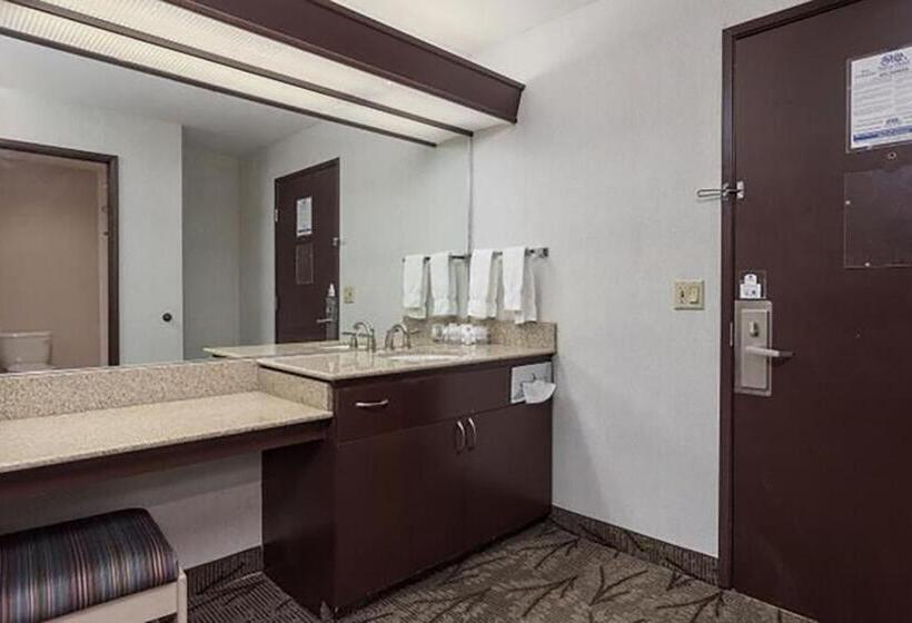 Номер Стандарт, Shilo Inns Idaho Falls