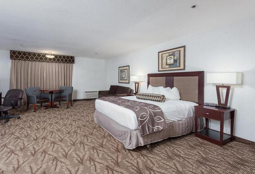 Стандартный Номер Кровать Кинг, Shilo Inns Idaho Falls
