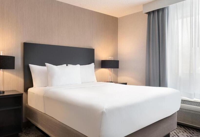 غرفة قياسية, The Clover Hotel, Ascend Hotel Collection