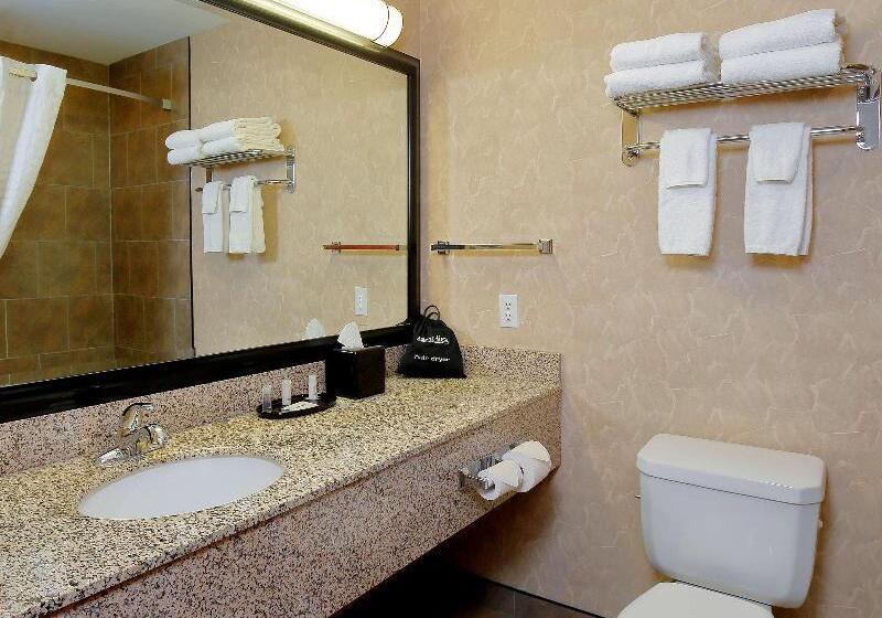 适合残疾人士使用的带超级大床的标准间, Best Western Blairmore