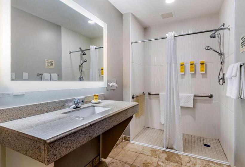 اتاق استاندارد با تخت بزرگ برای معلولان, Best Western Plus Edinburg Inn & Suites