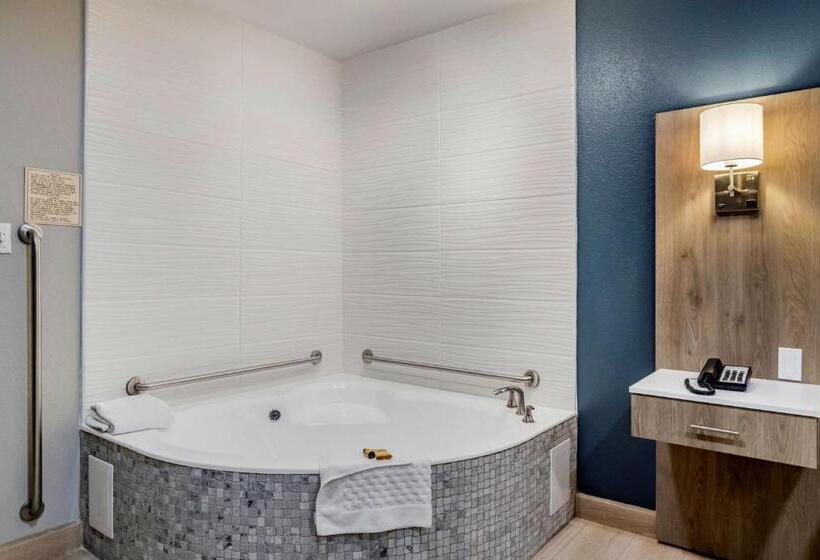 Номер Стандарт Кровать Кинг Адаптированный для Инвалидов, Best Western Plus Edinburg Inn & Suites