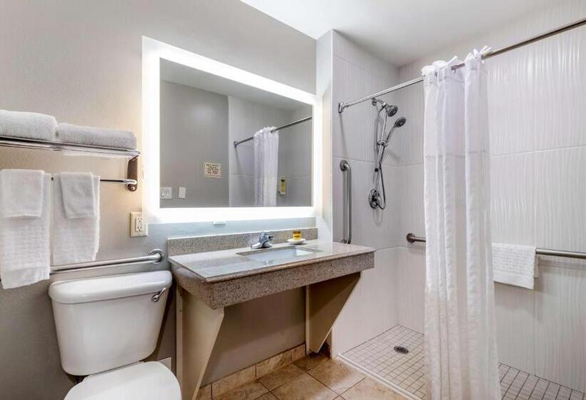 اتاق استاندارد با تخت بزرگ برای معلولان, Best Western Plus Edinburg Inn & Suites