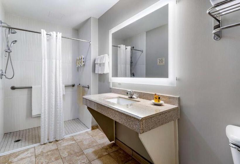 Номер Стандарт Адаптированный для Инвалидов, Best Western Plus Edinburg Inn & Suites