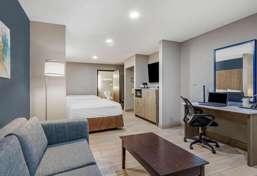 اتاق استاندارد برای معلولان, Best Western Plus Edinburg Inn & Suites