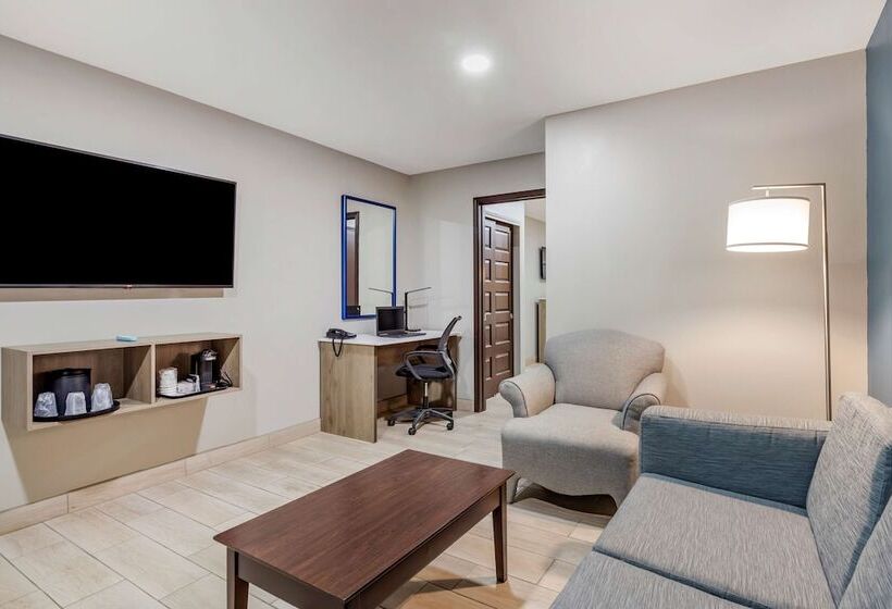Люкс Адаптированный для Инвалидов, Best Western Plus Edinburg Inn & Suites