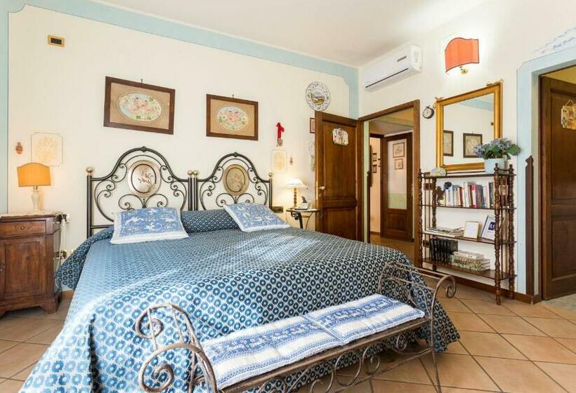 Номер Стандарт, B&b New Day