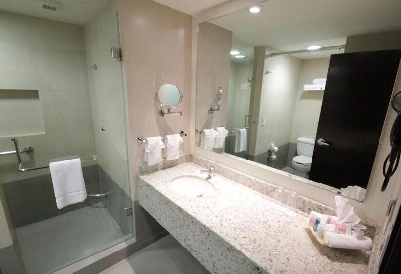 ２ダブルベッドのスタンダードルーム, Crowne Plaza Leon, An Ihg