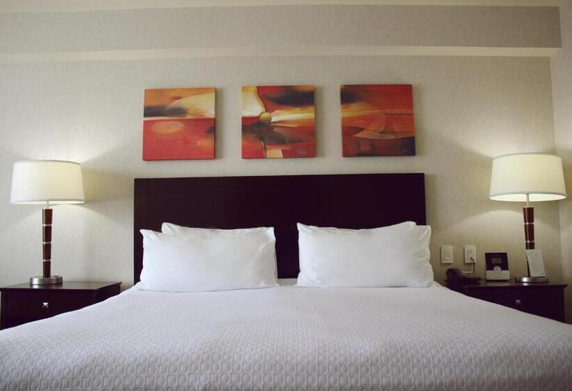 キングサイズベッドのスタンダードルーム, Crowne Plaza Leon, An Ihg