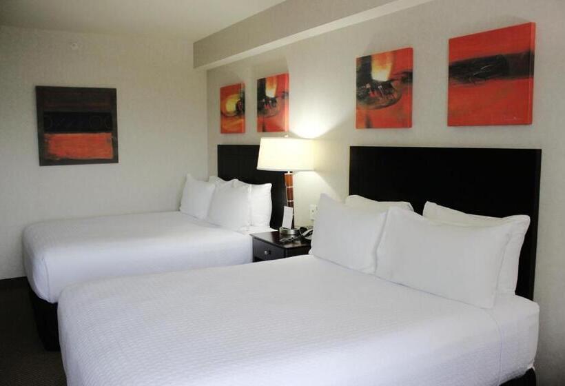 スタンダードルーム, Crowne Plaza Leon, An Ihg