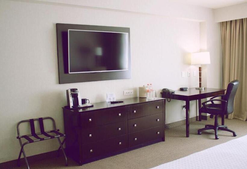 スタンダードルーム, Crowne Plaza Leon, An Ihg