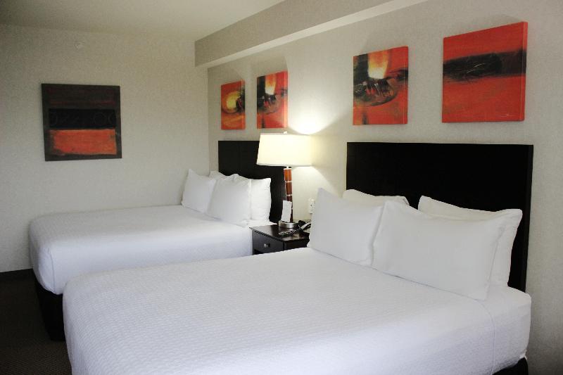 スタンダードルーム, Crowne Plaza Leon, An Ihg