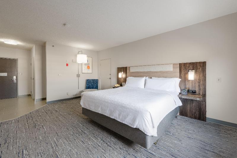 스탠다드 룸 킹사이즈 침대, Holiday Inn Express Hotel & Suites Edmonton South, An Ihg