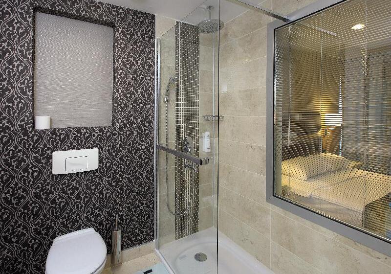 장애인을 위한 스탠다드 룸, Holiday Inn Express Frisco Legacy Park Area By Ihg