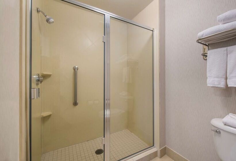 Люкс, Homewood Suites By Hilton Denver West  Lakewood