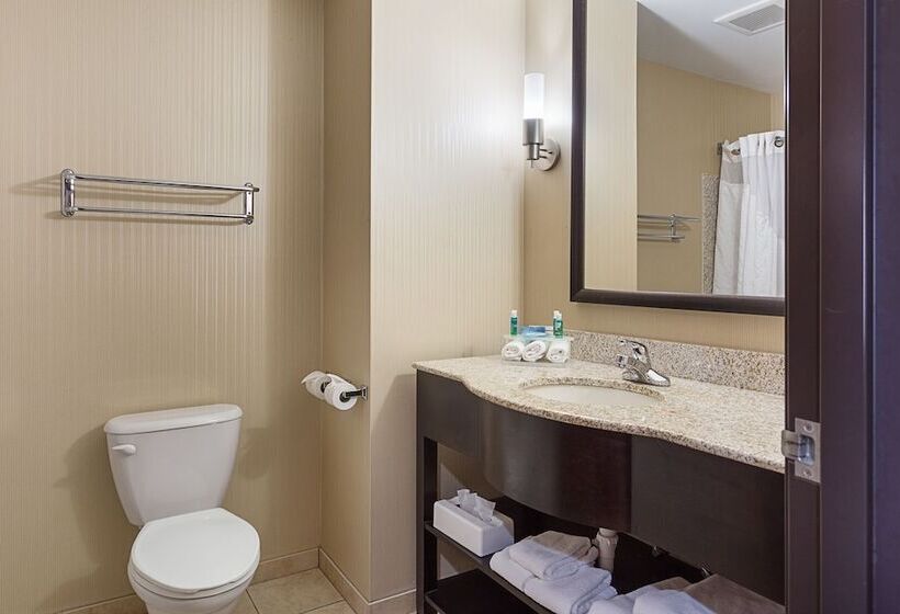 Номер Стандарт, Holiday Inn Express Hotel & Suites Byram, An Ihg