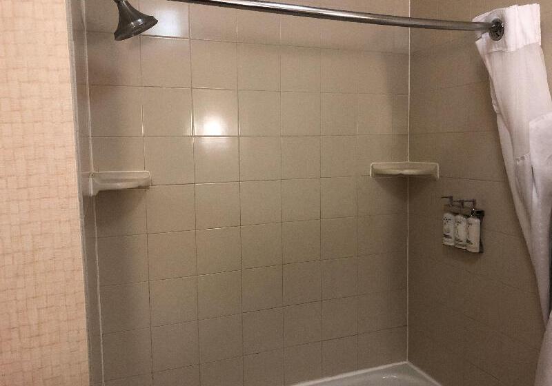 Стандартный Номер Кровать Кинг, Holiday Inn Express Hotel & Suites Howell, An Ihg