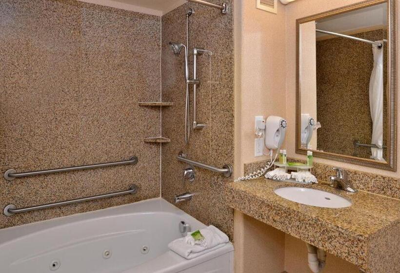 장애인을 위한 킹사이즈 침대 스탠다드 룸, Holiday Inn Express Hotel & Suites Lincoln By Ihg
