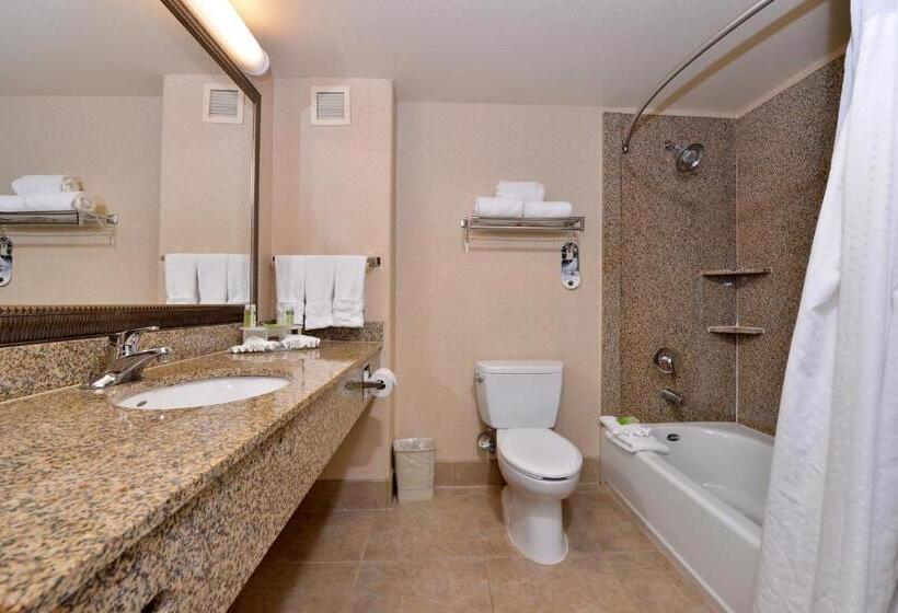 스탠다드 룸, Holiday Inn Express Hotel & Suites Lincoln By Ihg
