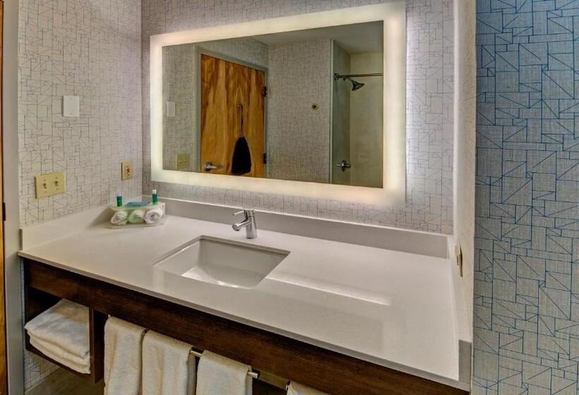스탠다드 룸, Holiday Inn Express Hotel & Suites London, An Ihg