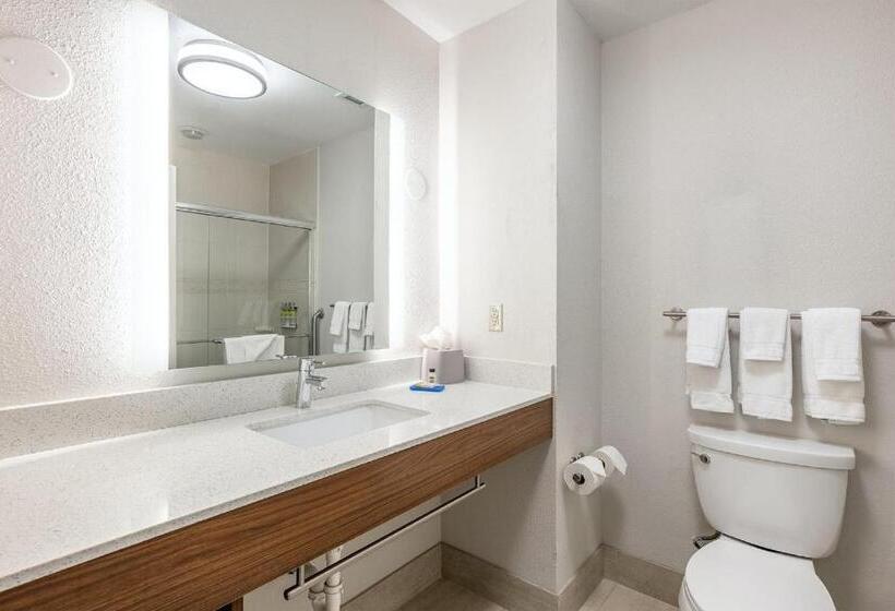 스탠다드 룸, Holiday Inn Express Mccomb, An Ihg