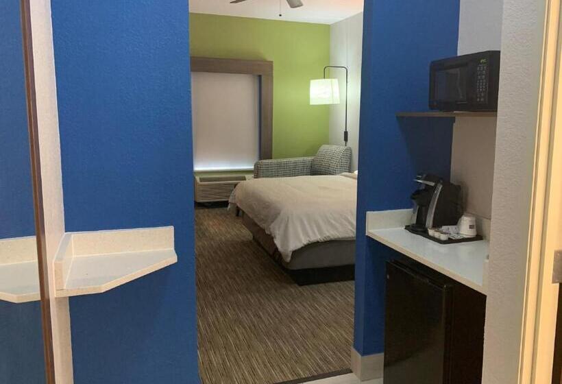 장애인을 위한 킹사이즈 침대 스탠다드 룸, Holiday Inn Express Mccomb, An Ihg