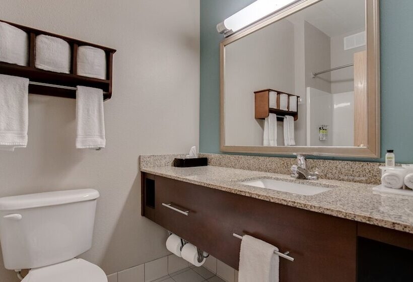 Люкс Адаптированный для Инвалидов, Holiday Inn Express And Suites St. Cloud, An Ihg